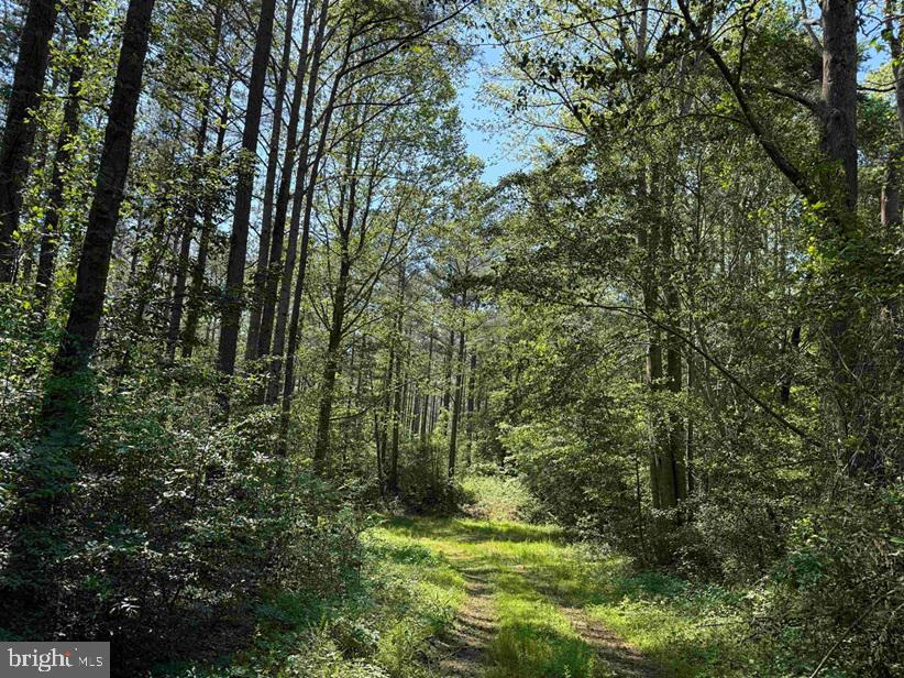 Dodlyt Road Heathsville, VA 22473 - Photo 2 of 19