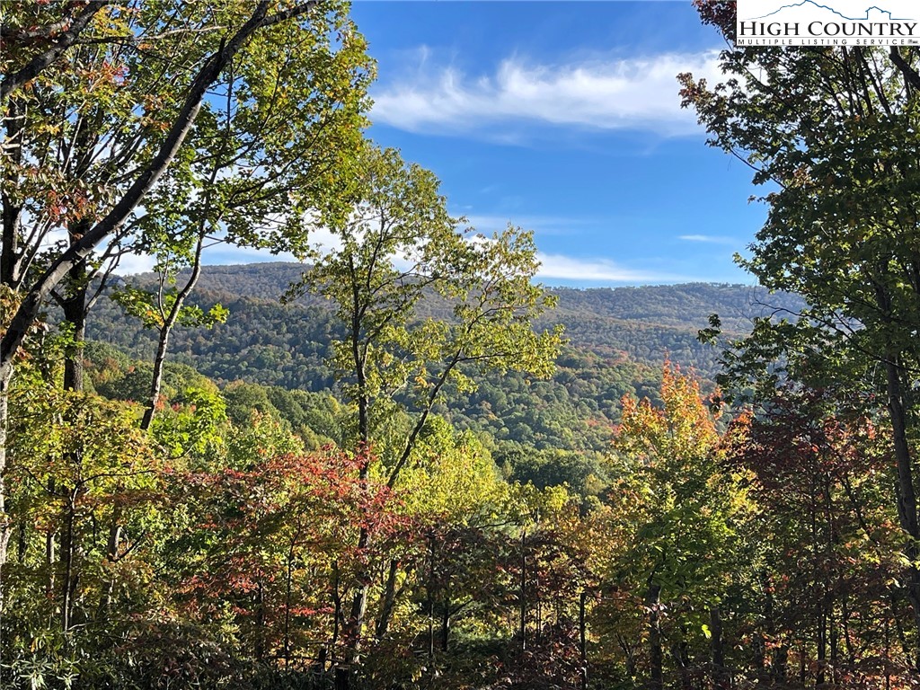 225 Oak Road Beech Mountain, NC 28604 - Photo 2 of 31 a view of a yard