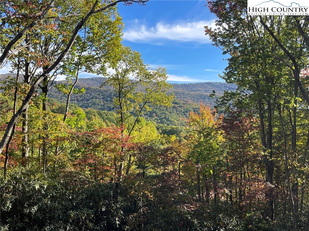 225 Oak Road Beech Mountain, NC 28604 - Photo 31 of 31 a view of a yard