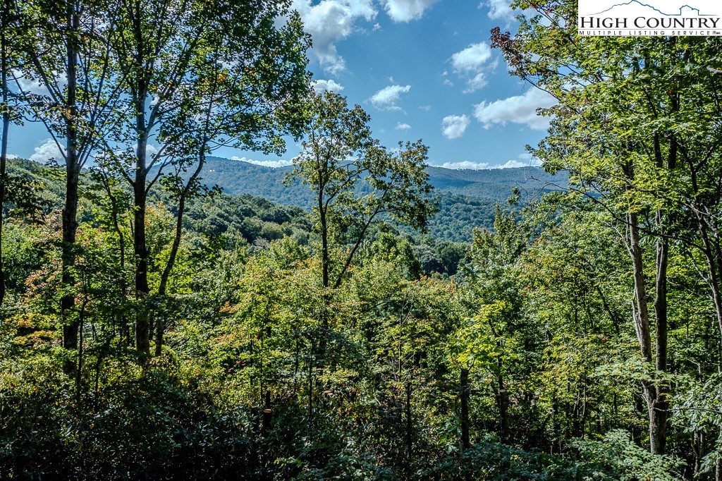 225 Oak Road Beech Mountain, NC 28604 - Photo 6 of 31 a view of a garden