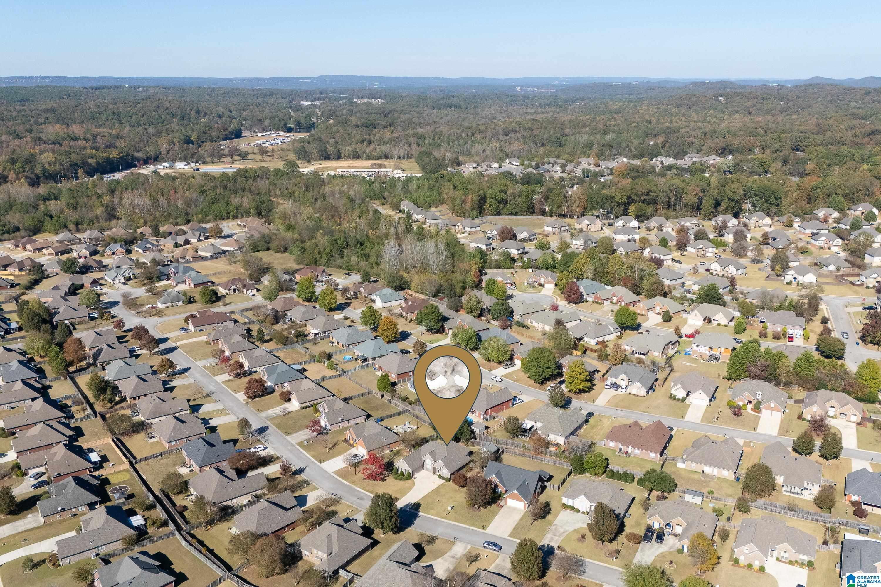 233 Queens Gate Alabaster, AL 35114 - Photo 44 of 49