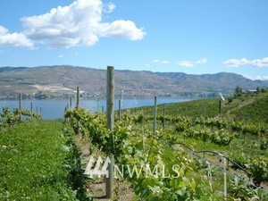 305 Clos Chevalle Road Chelan, WA 98816 - Photo 19 of 24 Gallery Image 19