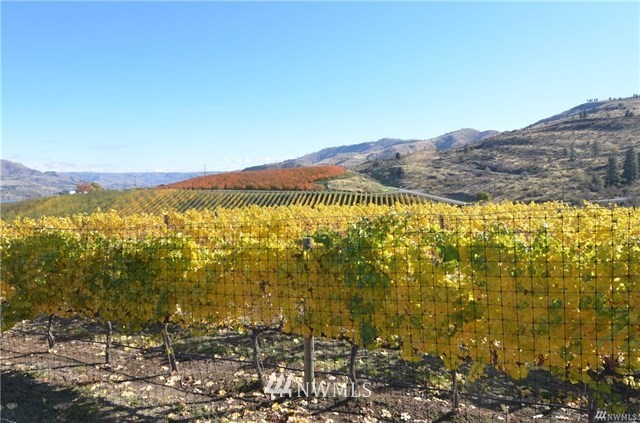 305 Clos Chevalle Road Chelan, WA 98816 - Photo 21 of 24 Gallery Image 21