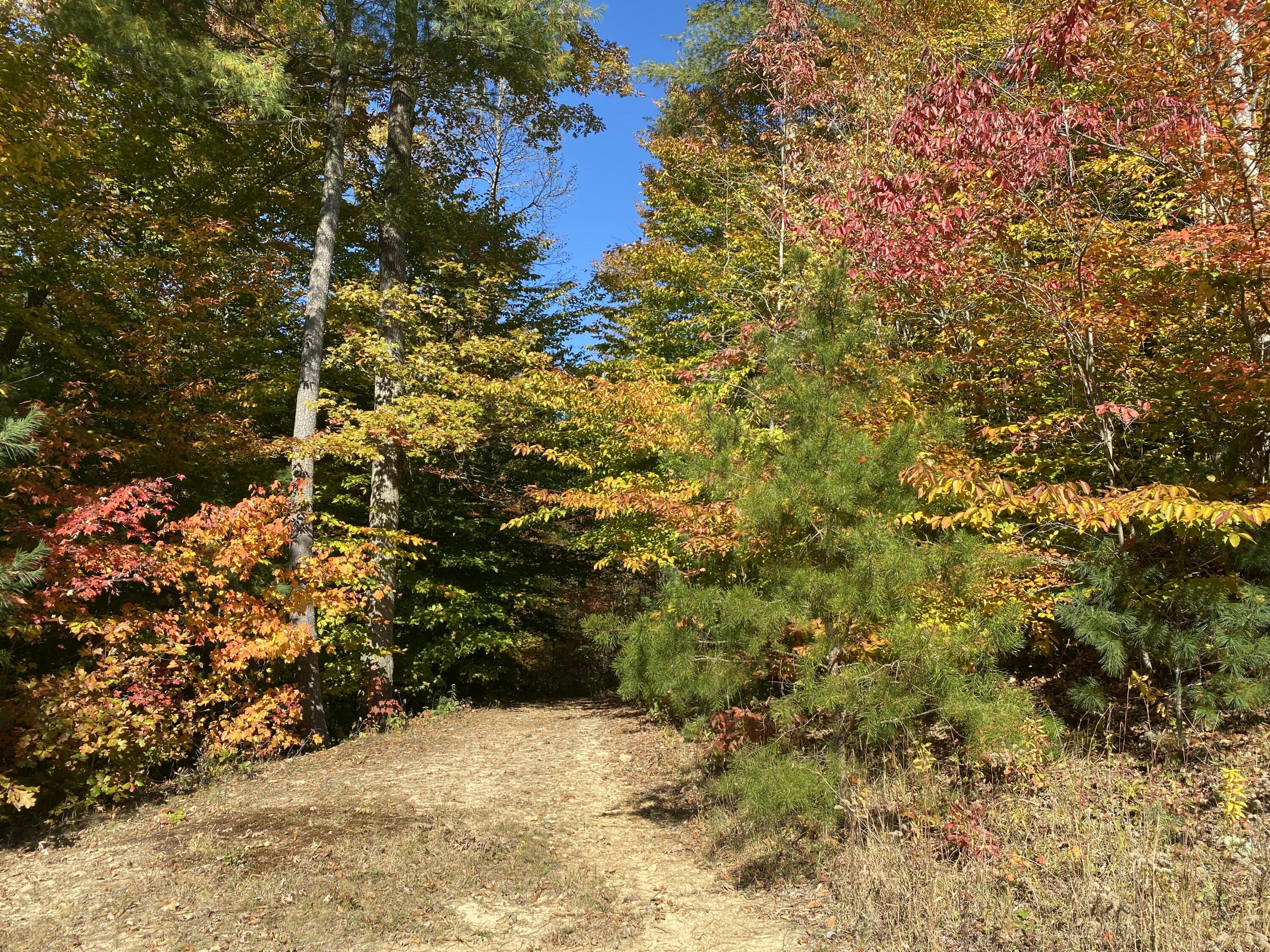 004 look at those beautiful fall colors