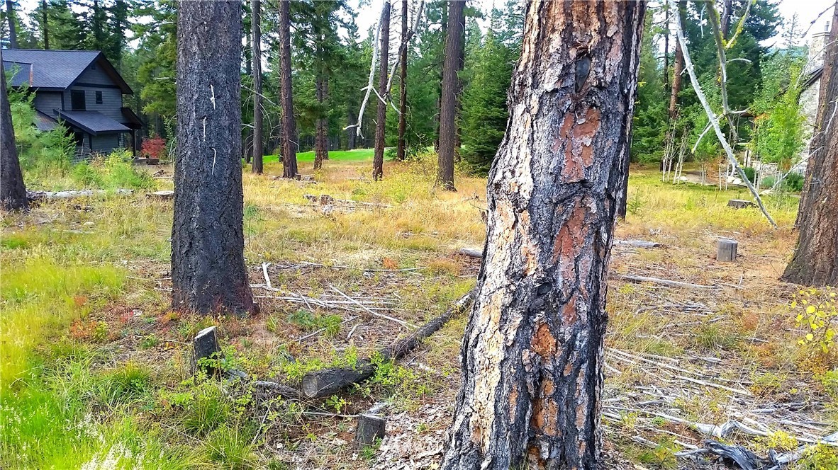 261 Maple Leaf Loop Cle Elum, WA 98922 - Photo 11 of 16