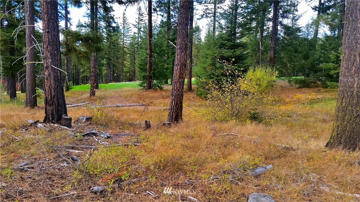 261 Maple Leaf Loop Cle Elum, WA 98922 - Photo 12 of 16