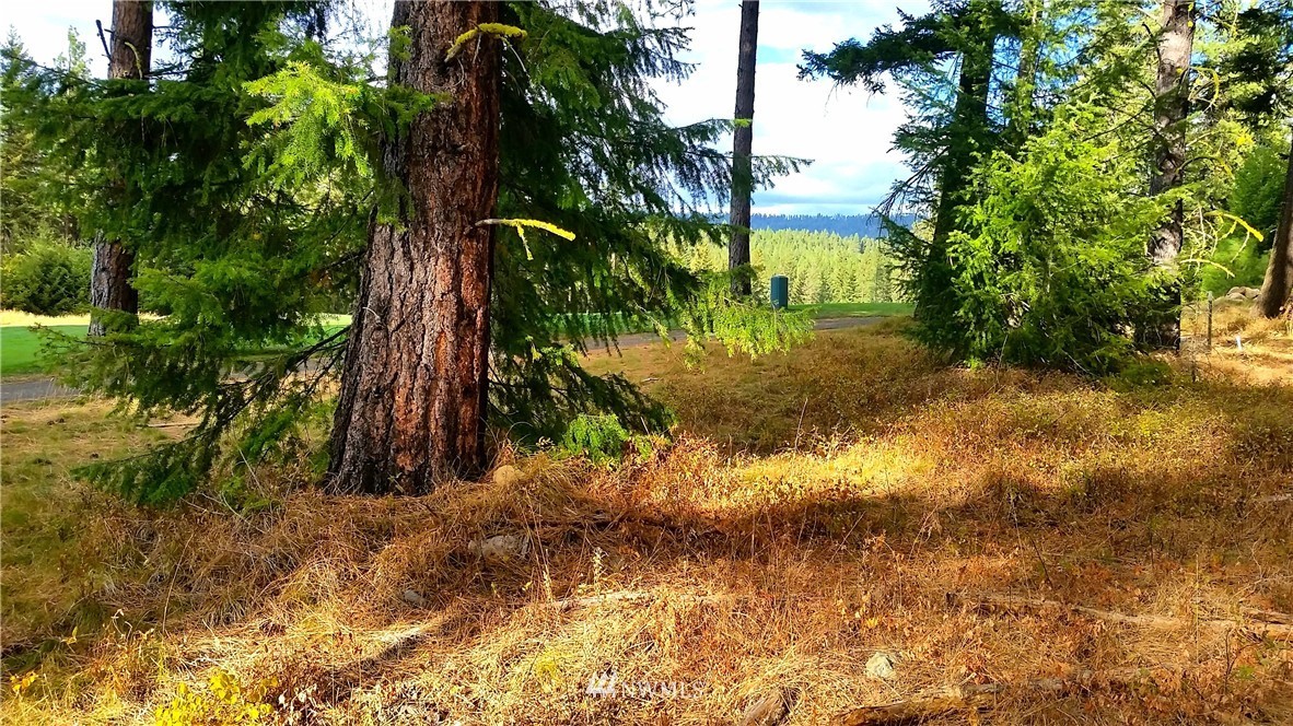 261 Maple Leaf Loop Cle Elum, WA 98922 - Photo 13 of 16
