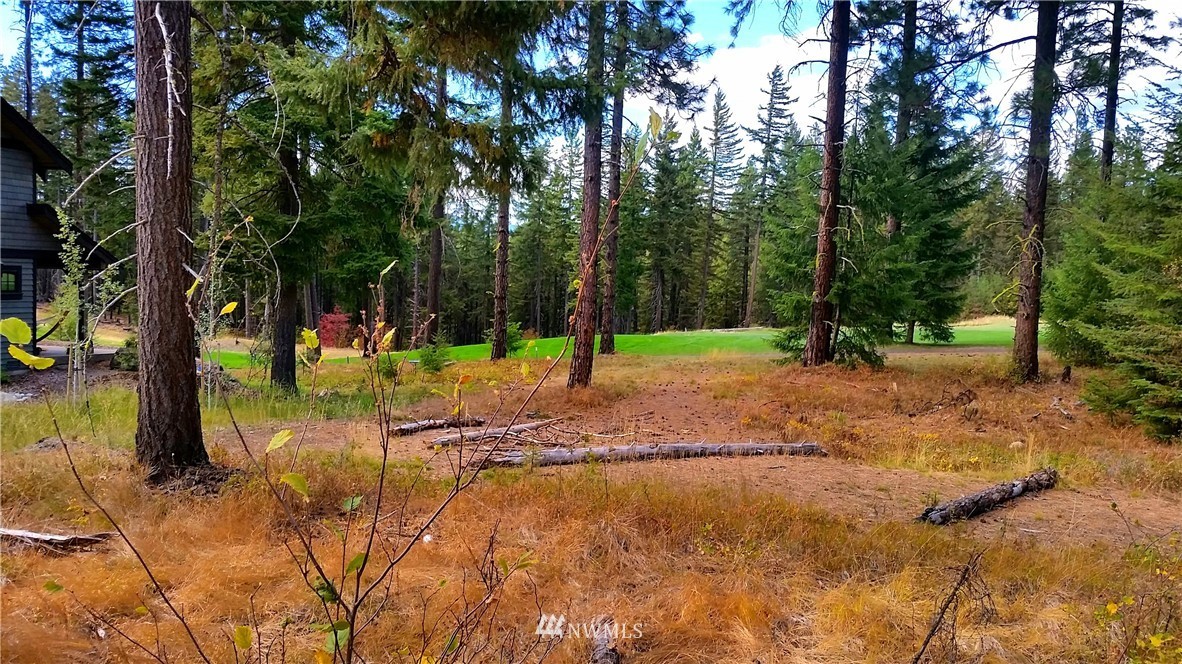 261 Maple Leaf Loop Cle Elum, WA 98922 - Photo 14 of 16