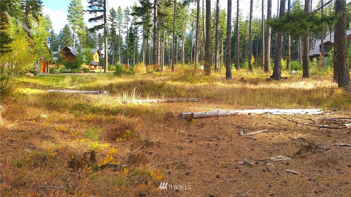 261 Maple Leaf Loop Cle Elum, WA 98922 - Photo 15 of 16