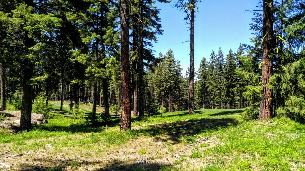 261 Maple Leaf Loop Cle Elum, WA 98922 - Photo 3 of 16