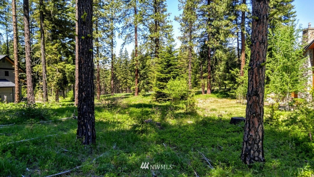 261 Maple Leaf Loop Cle Elum, WA 98922 - Photo 4 of 16