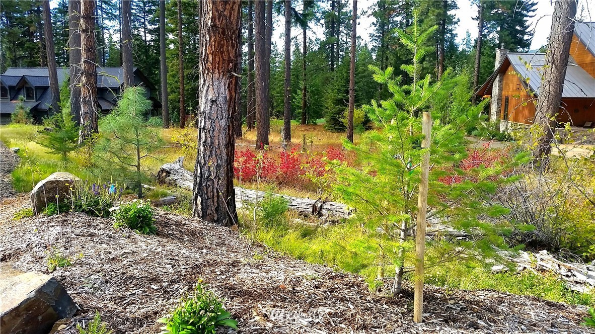 261 Maple Leaf Loop Cle Elum, WA 98922 - Photo 9 of 16