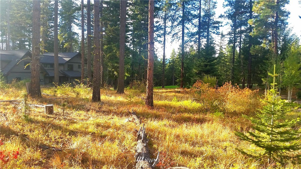 261 Maple Leaf Loop Cle Elum, WA 98922 - Photo 10 of 16