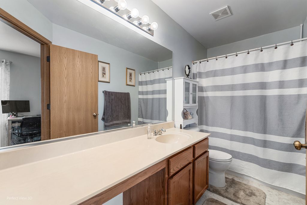 22202 West Niagara Trail, Unit 22202 Plainfield, IL 60544 - Photo 19 of 24 a bathroom with a sink a toilet and shower