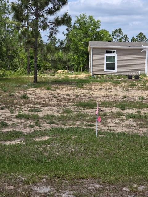 6123 Oil Well Road Clermont, FL 34714 - Photo 5 of 5