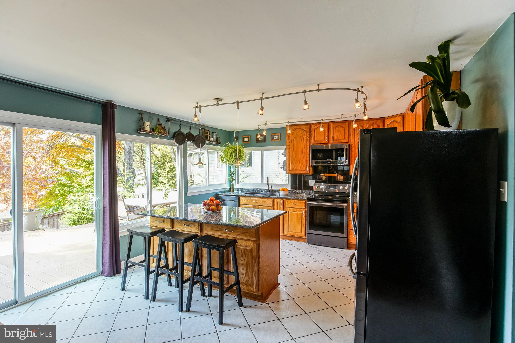 18930 Glendower Road Gaithersburg, MD 20879 - Photo 7 of 23 Kitchen with NEW Samsung appliances