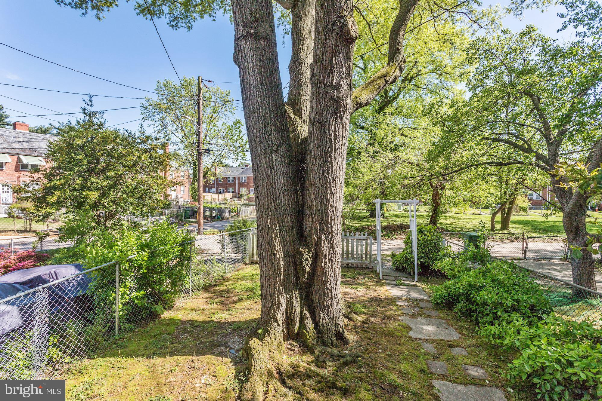 1513 Roundhill Road Baltimore, MD 21218 - Photo 27 of 33 Gallery Image 27