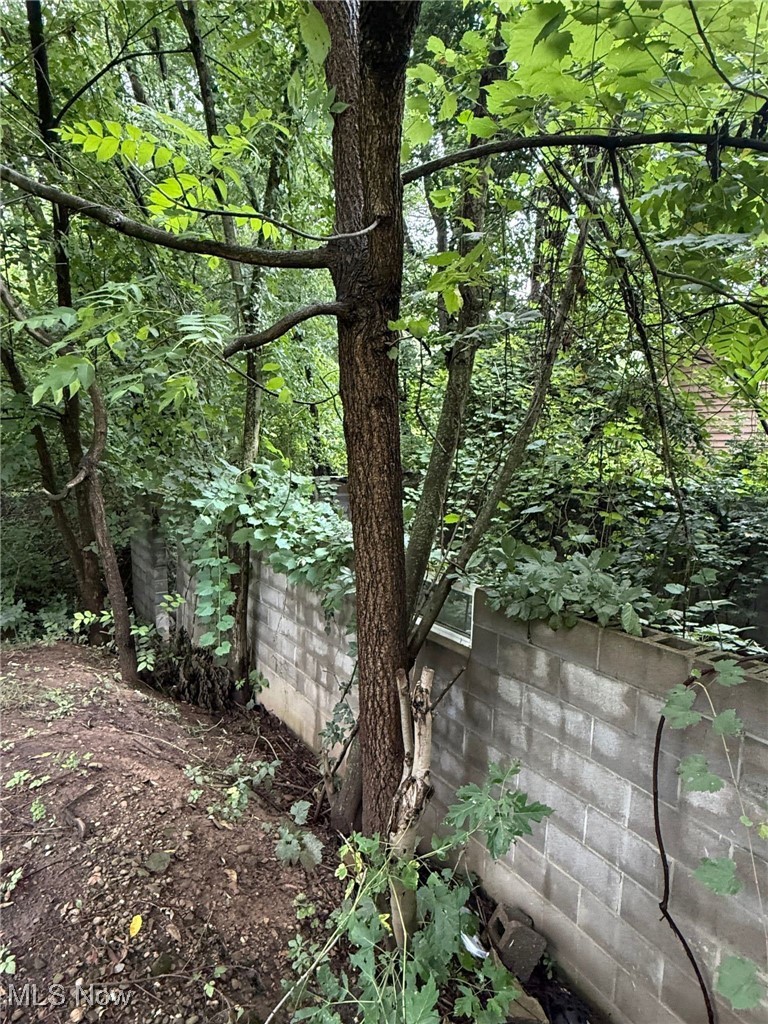 2188 Stahl Road Akron, OH 44319 - Photo 5 of 5 View of nature