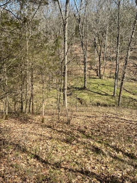 1214 Hogg Ridge Road Falmouth, KY 41040 - Photo 12 of 13 Gallery Image 12
