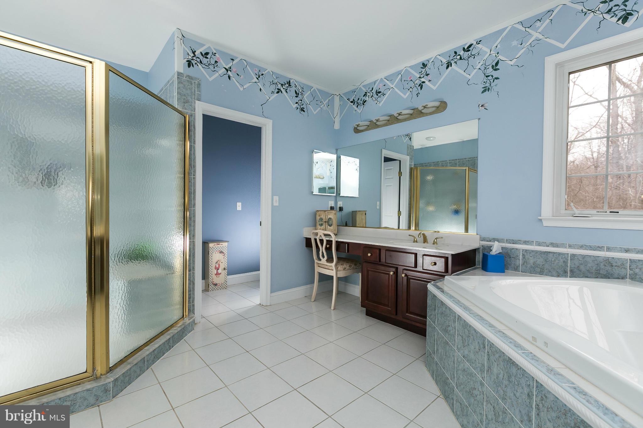 15094 Frederick Road Woodbine, MD 21797 - Photo 18 of 30 Bath (Master)