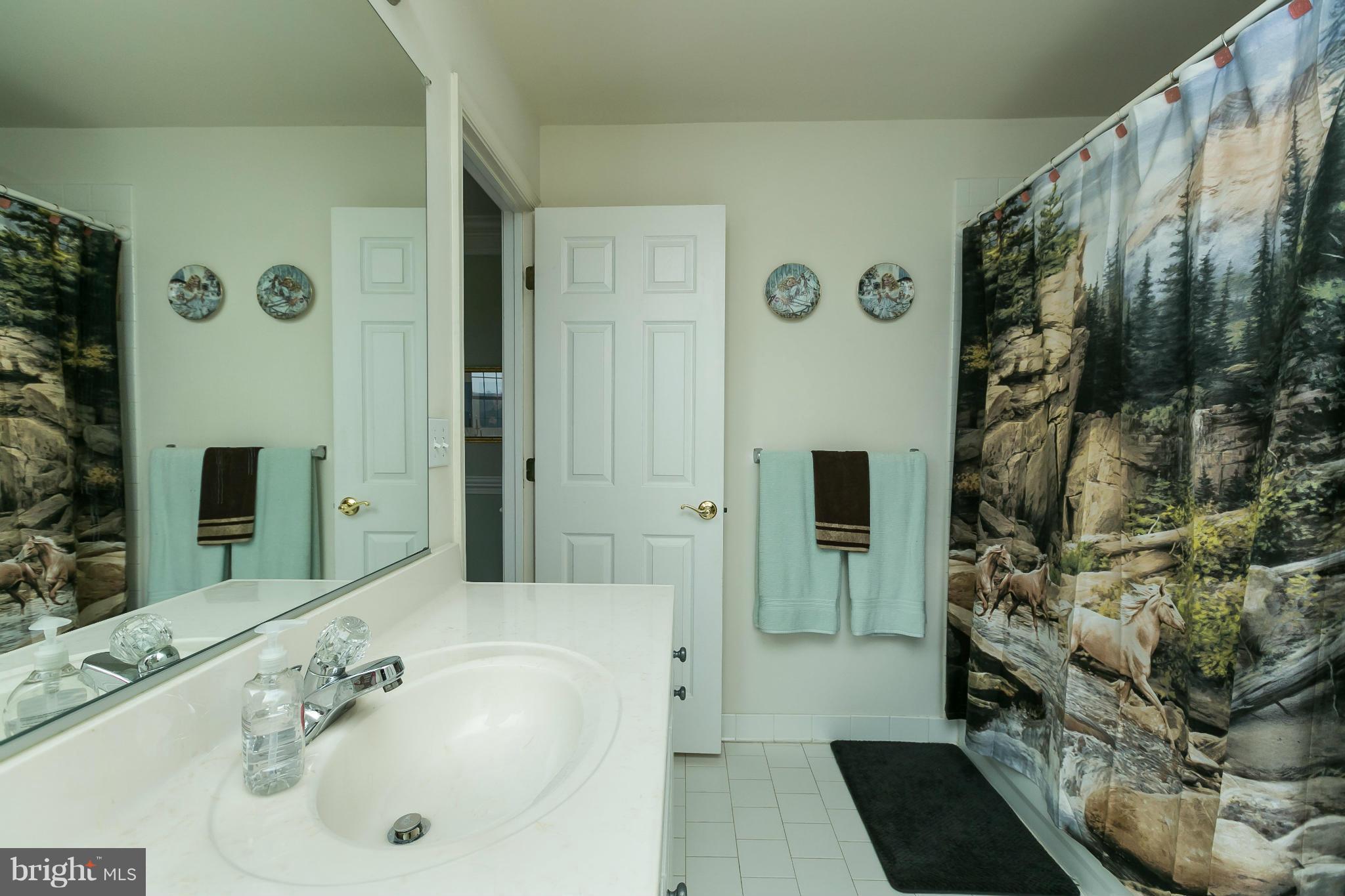 15094 Frederick Road Woodbine, MD 21797 - Photo 20 of 30 Bath