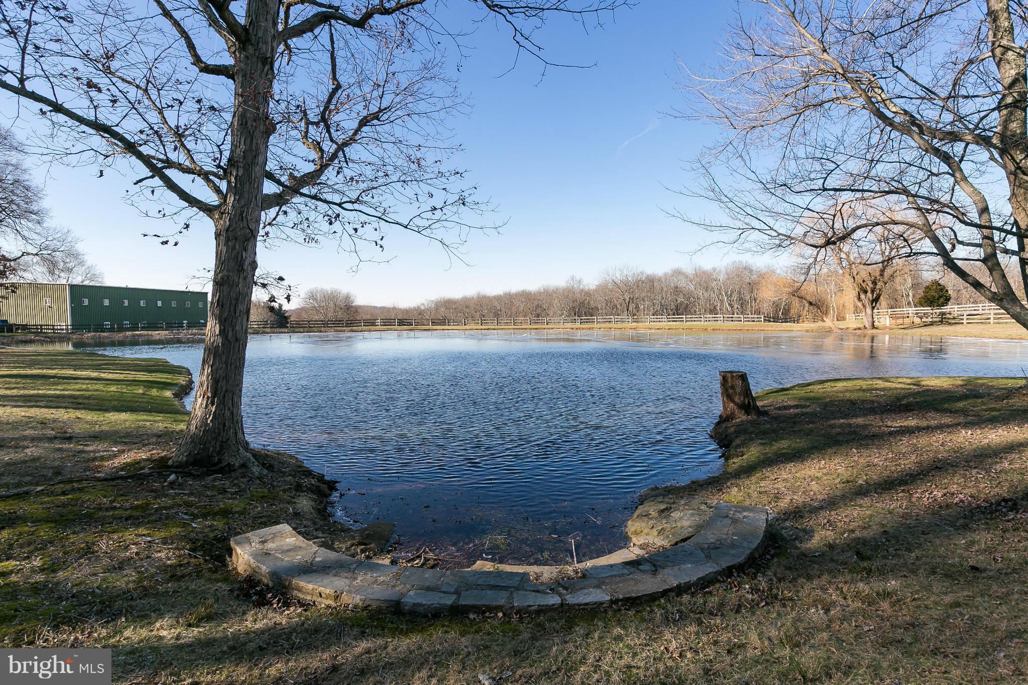 Fishing Pond