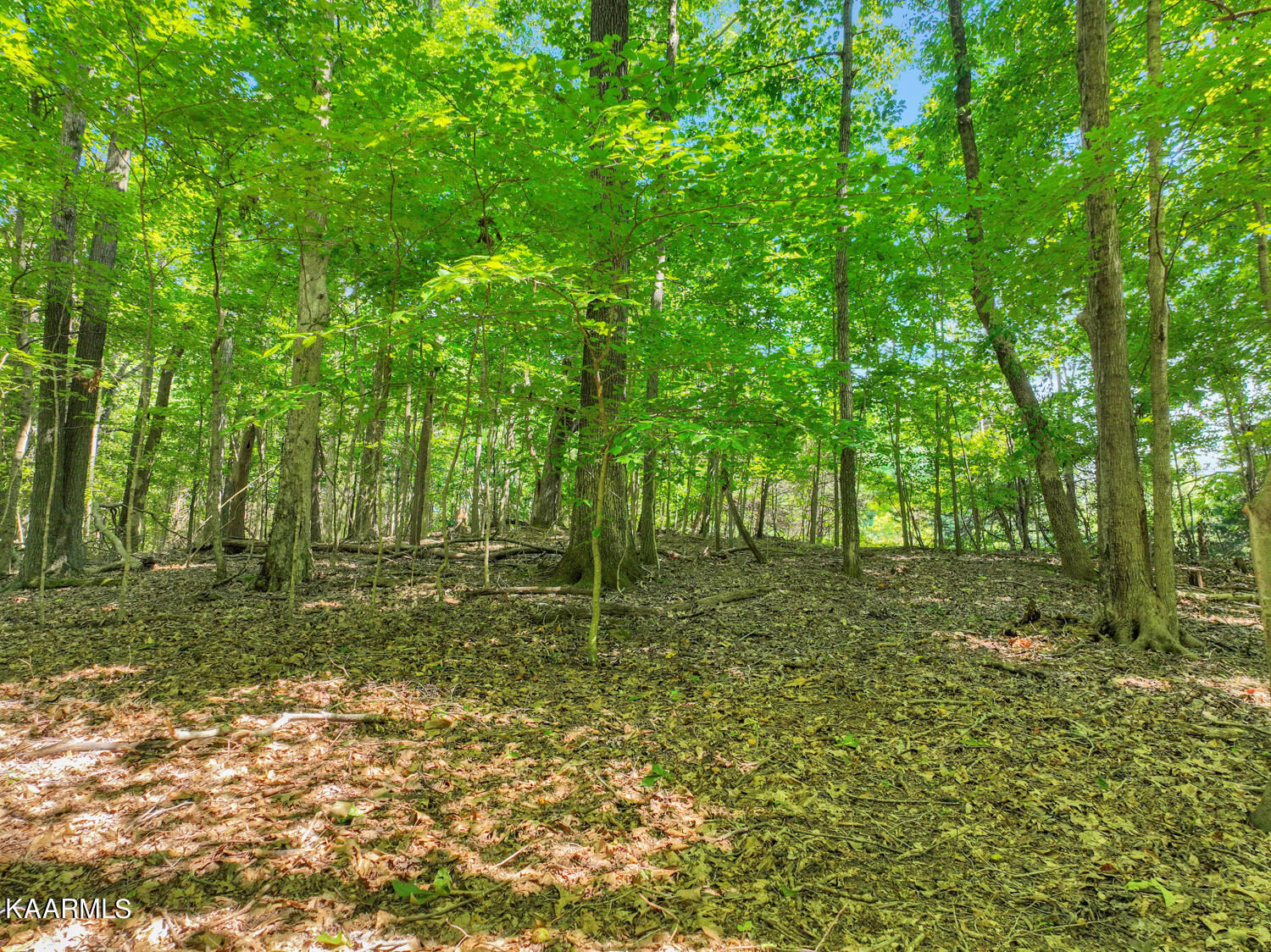 475 Kinniard Road Cookeville, TN 38501 - Photo 47 of 60 475KinniardRd29_1661266413504