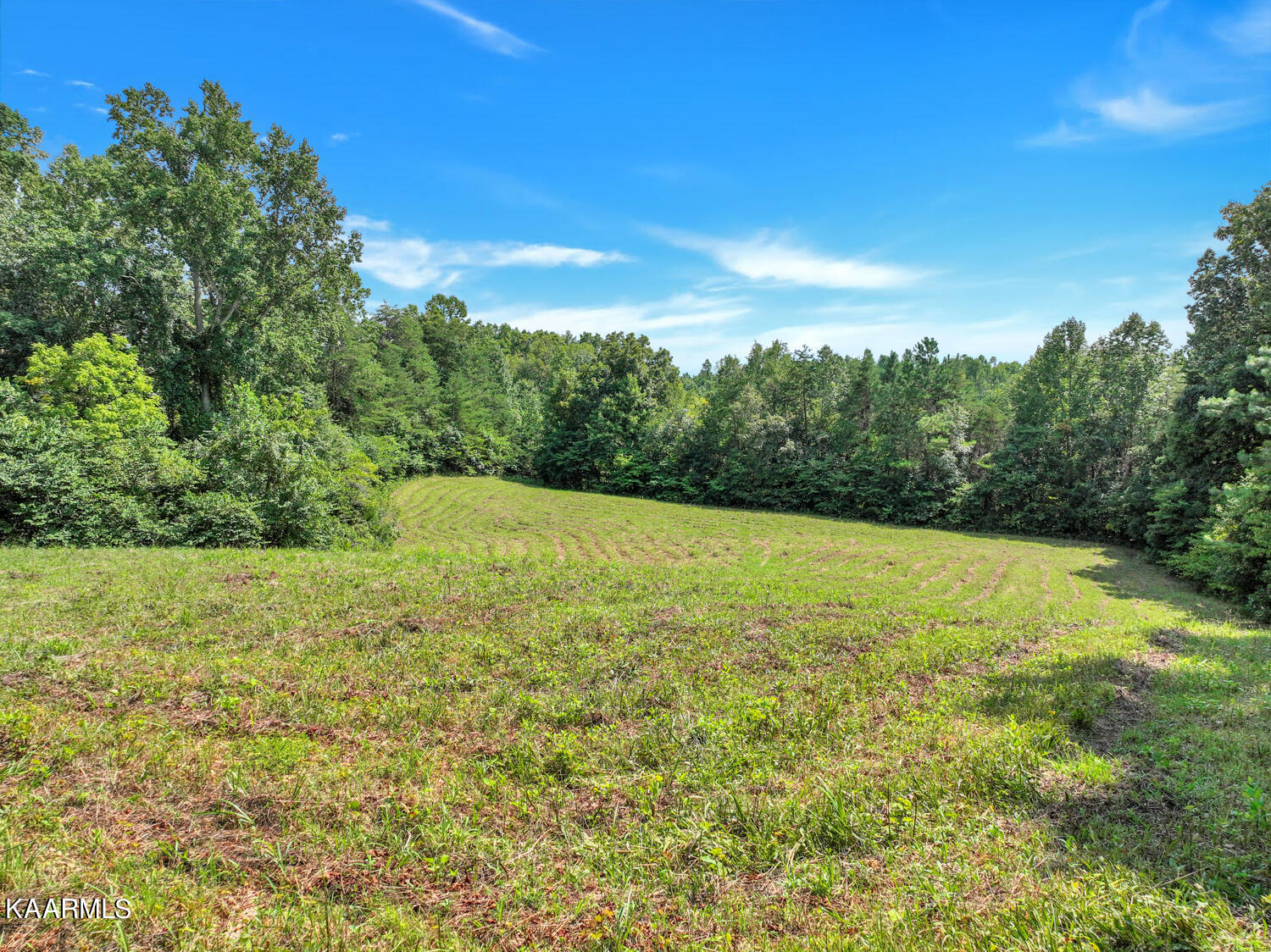 475 Kinniard Road Cookeville, TN 38501 - Photo 48 of 60 475KinniardRd30_1661266413534