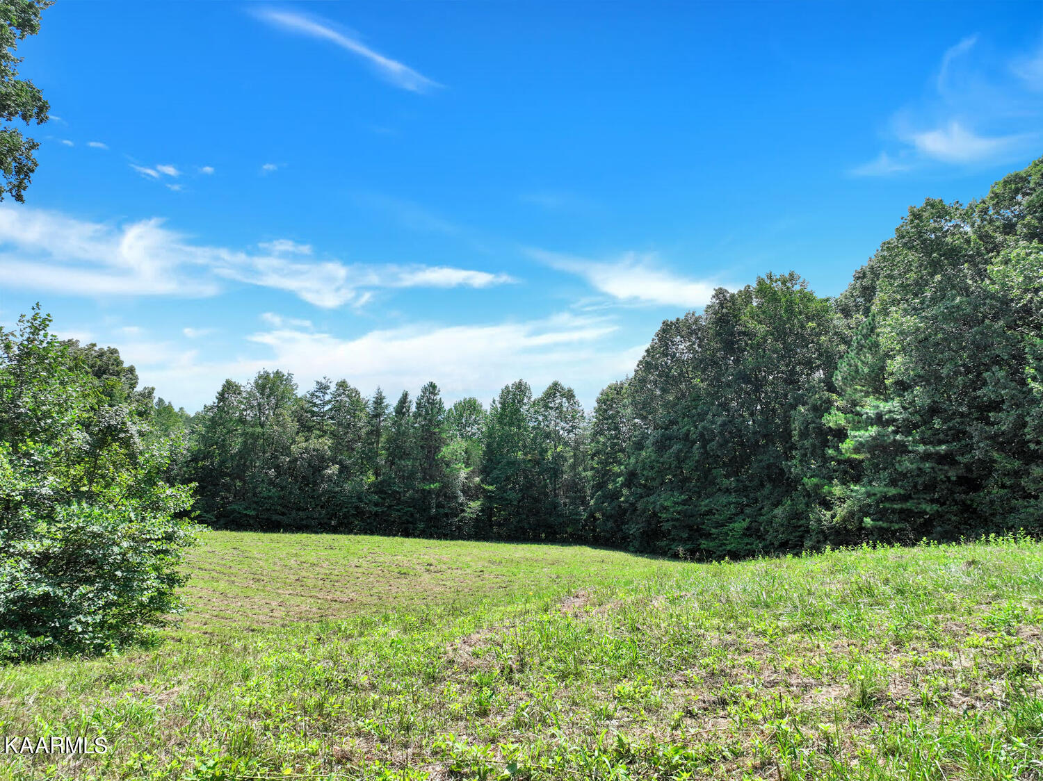 475 Kinniard Road Cookeville, TN 38501 - Photo 58 of 60 475KinniardRd12_1661266413491