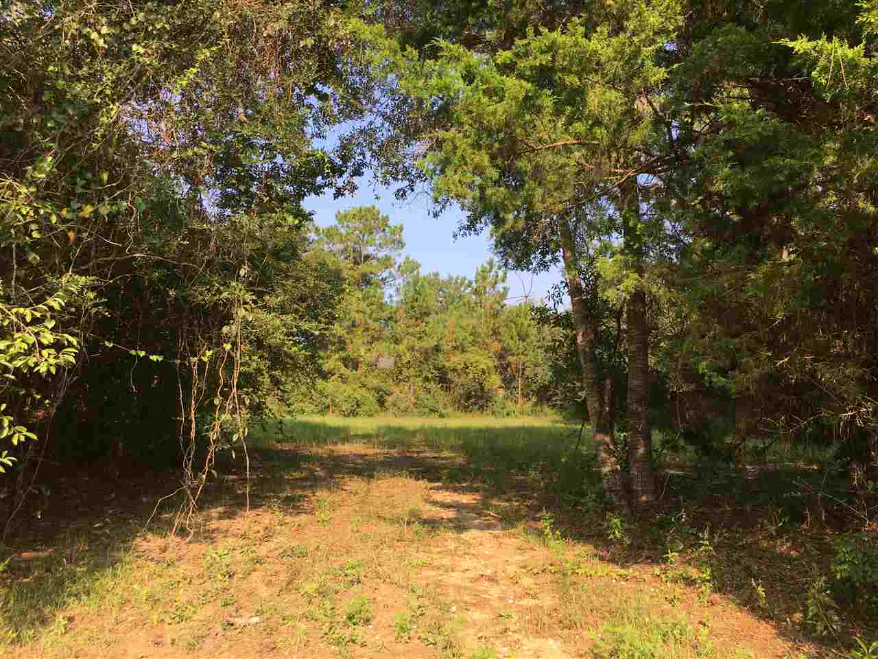 Venice Boulevard Foley, AL 36535 - Photo 2 of 3