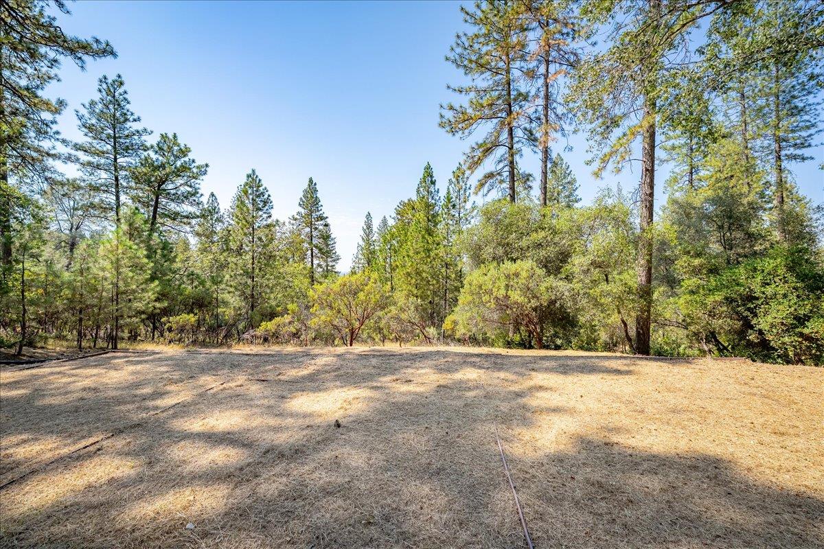 3560 Sugar View Road Meadow Vista, CA 95722 - Photo 35 of 49