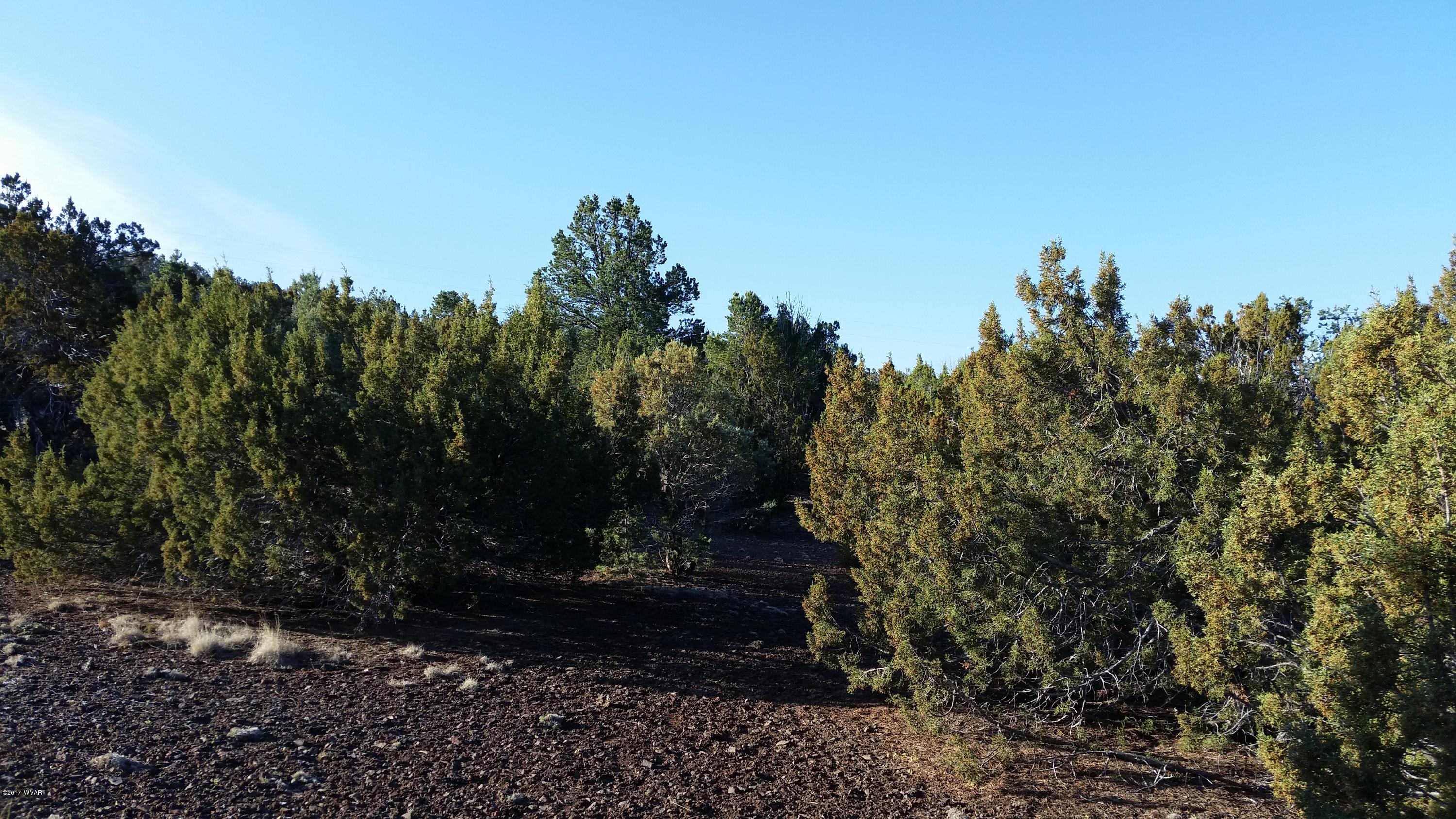 Lot 108 North Ranch Road Concho, AZ 85924 - Photo 1 of 6