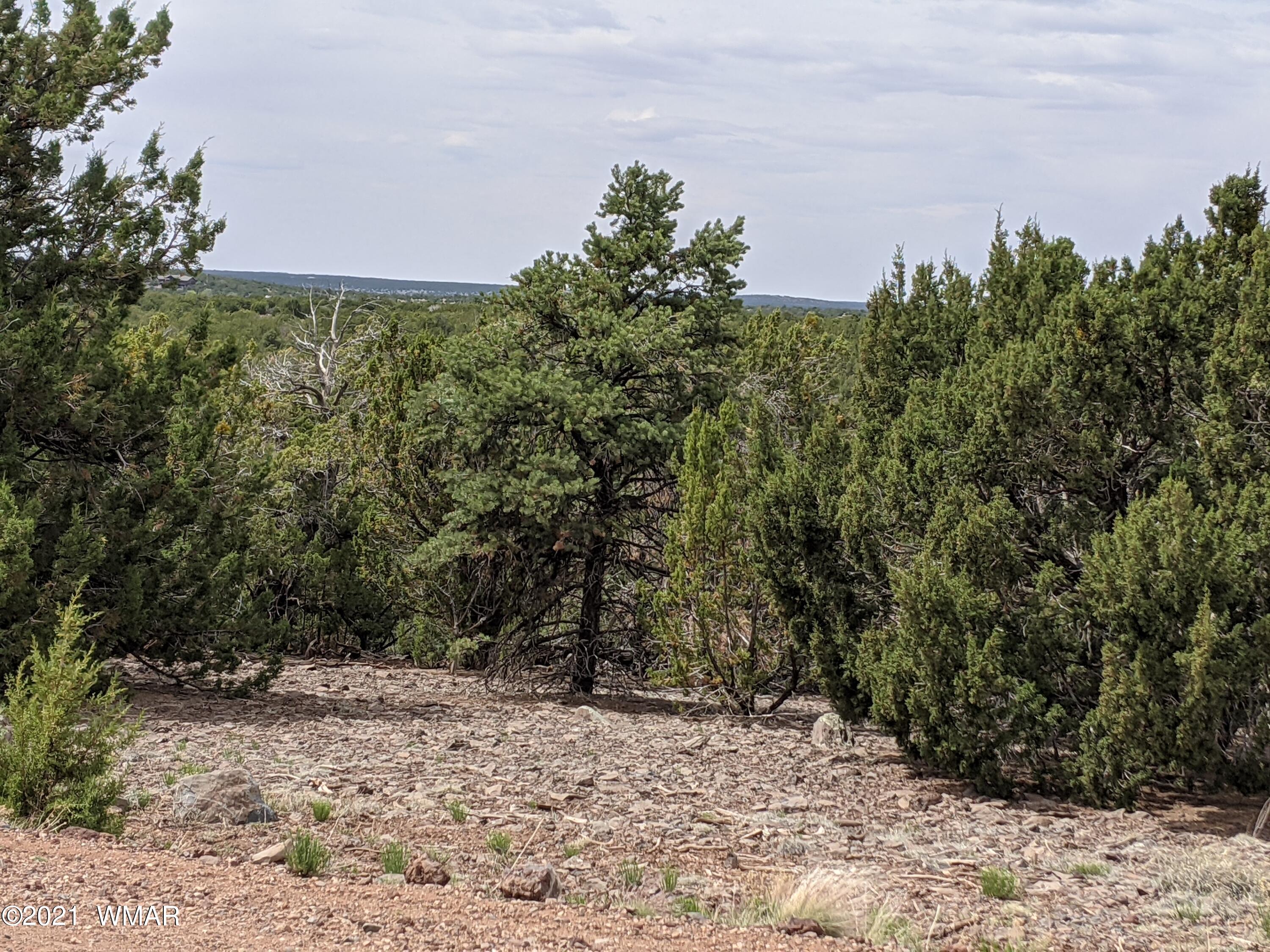 Lot 108 North Ranch Road Concho, AZ 85924 - Photo 2 of 6