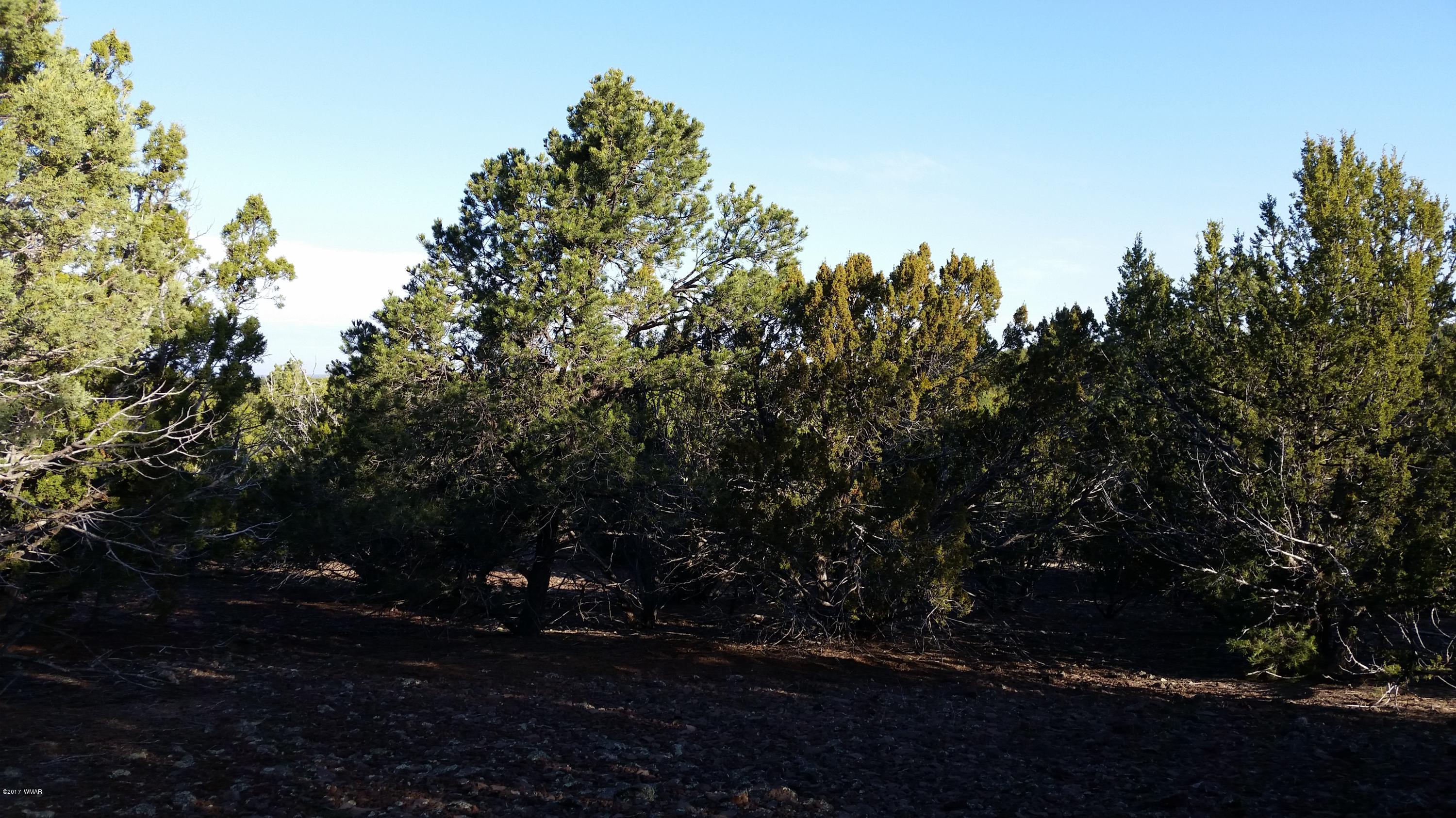Lot 108 North Ranch Road Concho, AZ 85924 - Photo 3 of 6