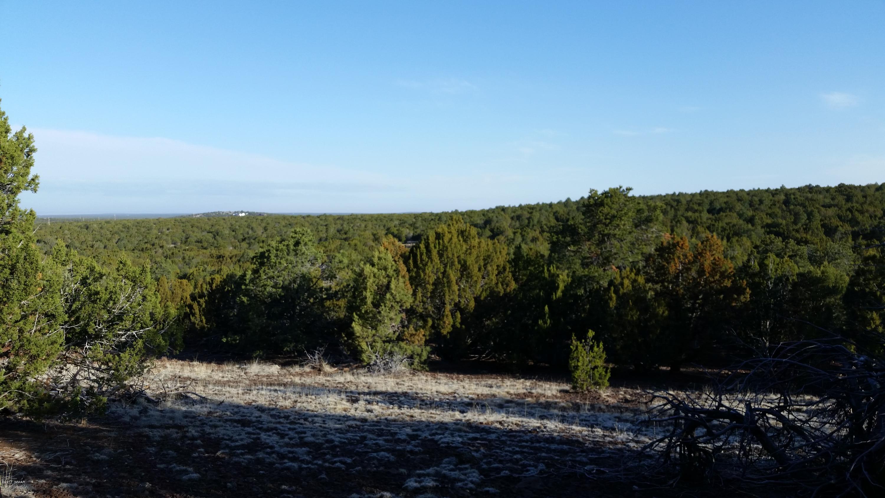 Lot 108 North Ranch Road Concho, AZ 85924 - Photo 4 of 6