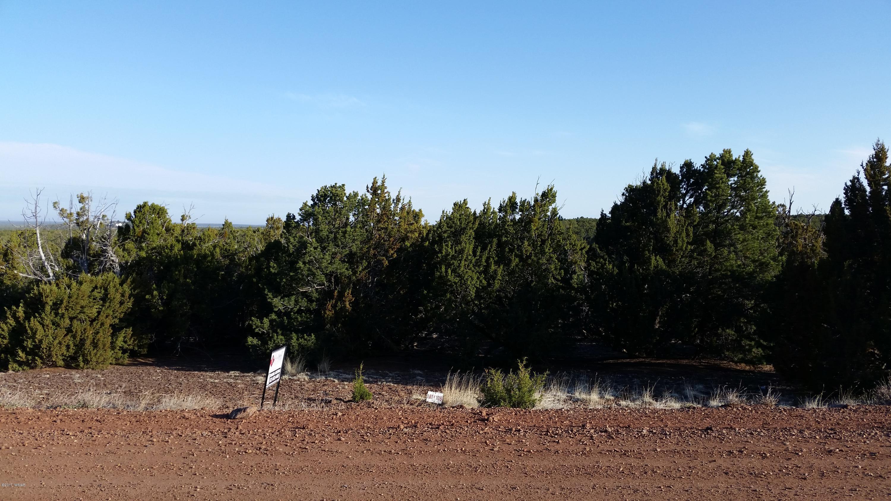 Lot 108 North Ranch Road Concho, AZ 85924 - Photo 5 of 6