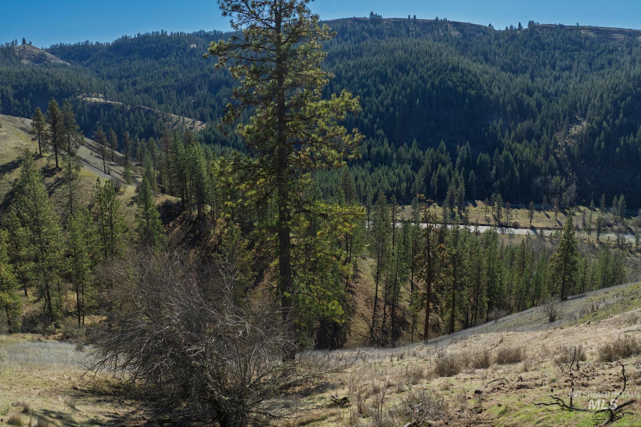 1028 Redemption Lane Kendrick, ID 83537 - Photo 44 of 50