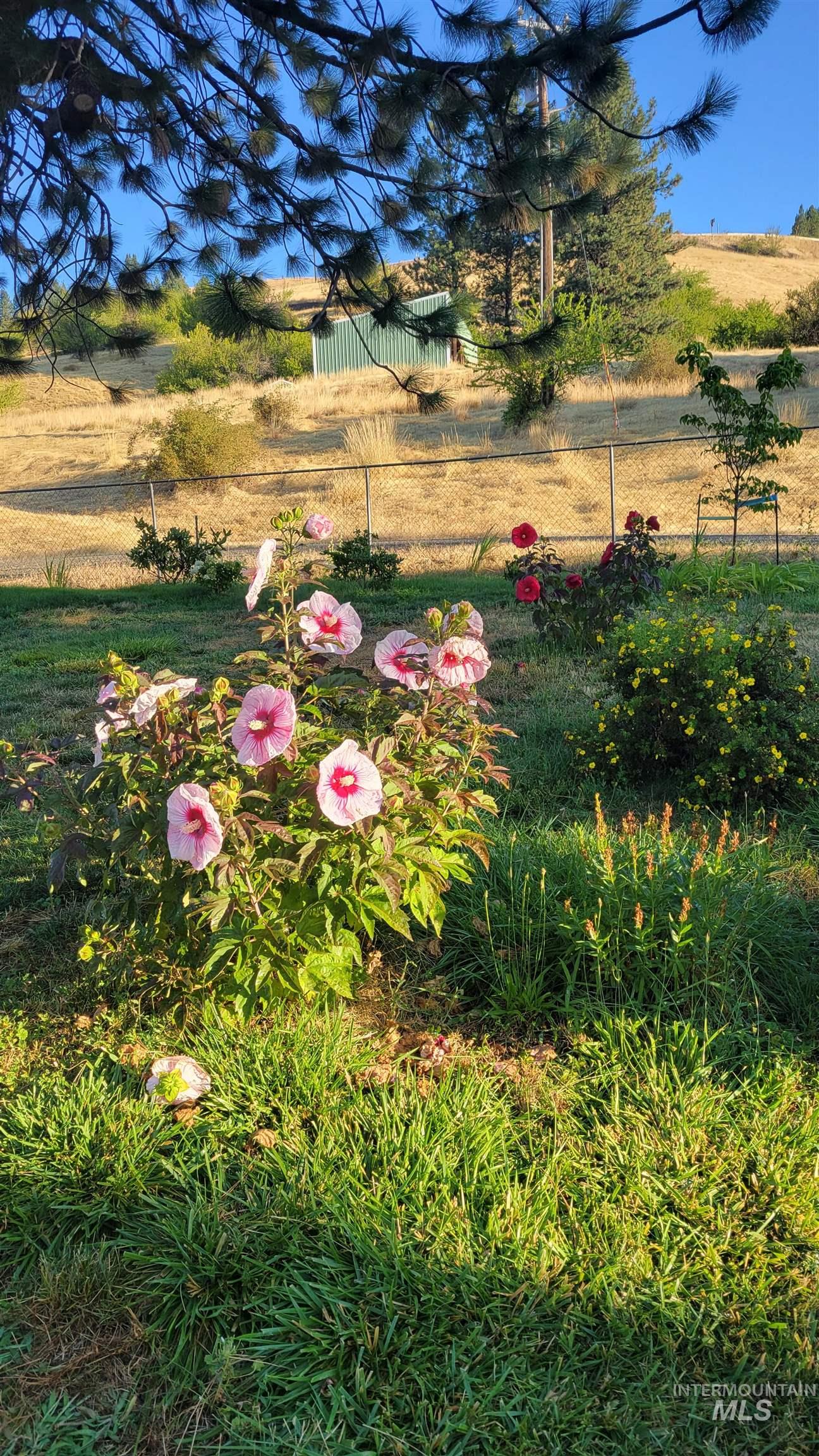 1028 Redemption Lane Kendrick, ID 83537 - Photo 48 of 50