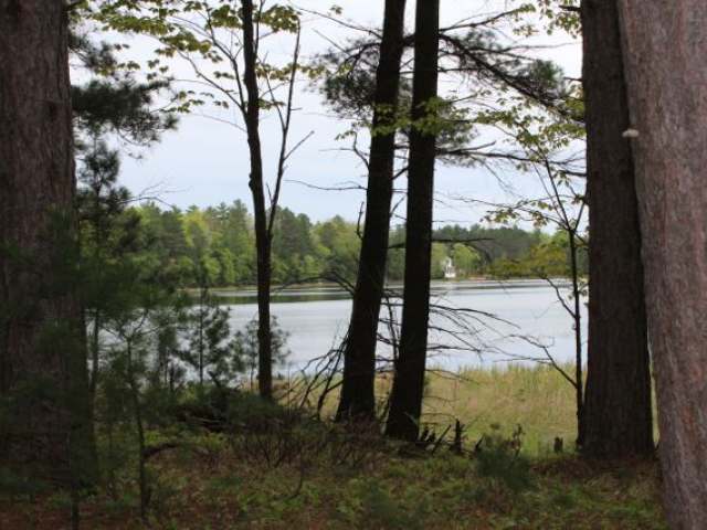 Near Loon Lake Road Eagle River, WI 54521 - Photo 1 of 13 Gallery Image 1