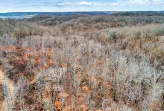 365 Leon Road Nashville, TN 37221 - Photo 3 of 14 Gallery Image 3