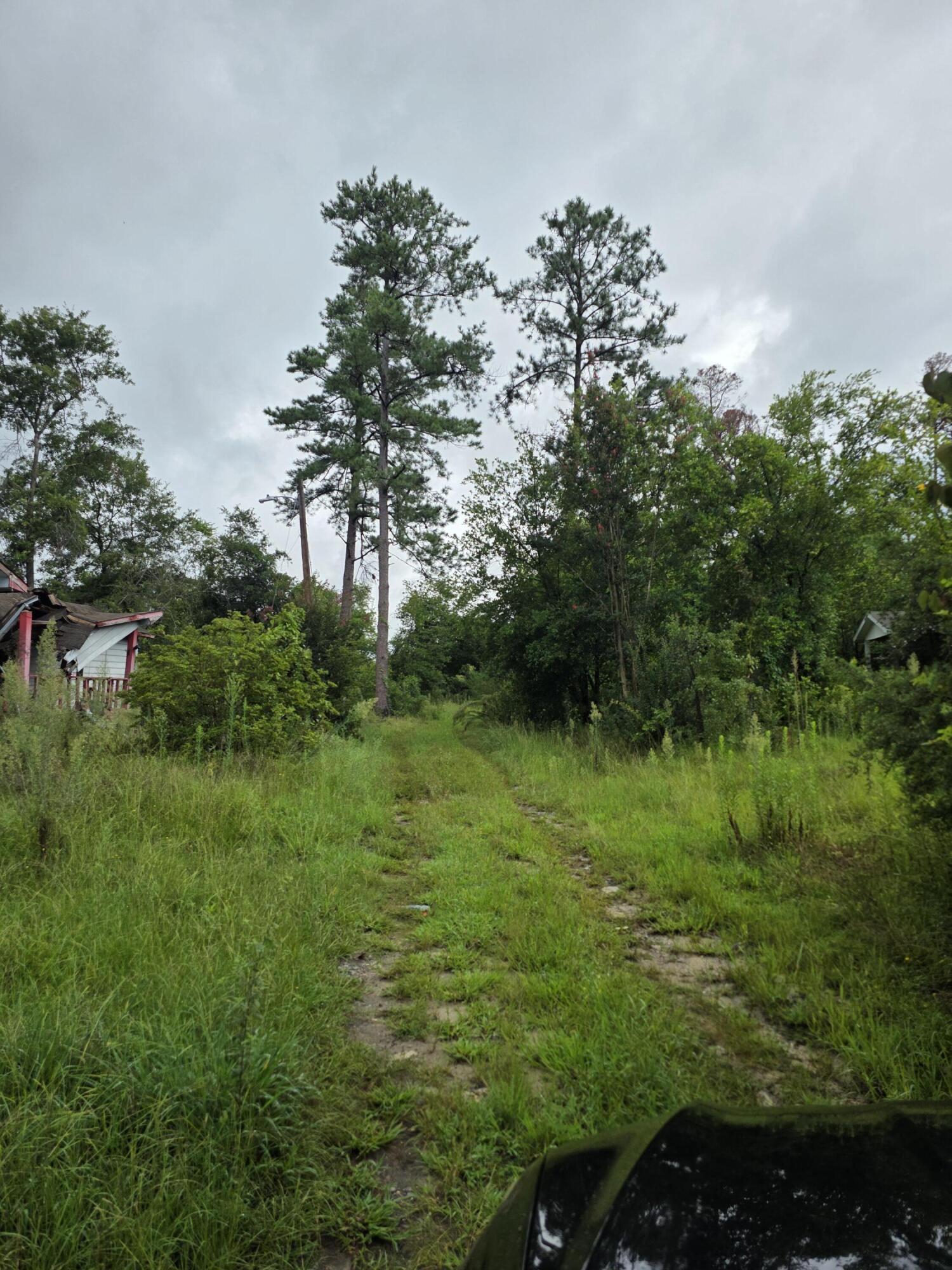 255 Settlement Road Martinez, GA 30907 - Photo 8 of 9 20250814_093835