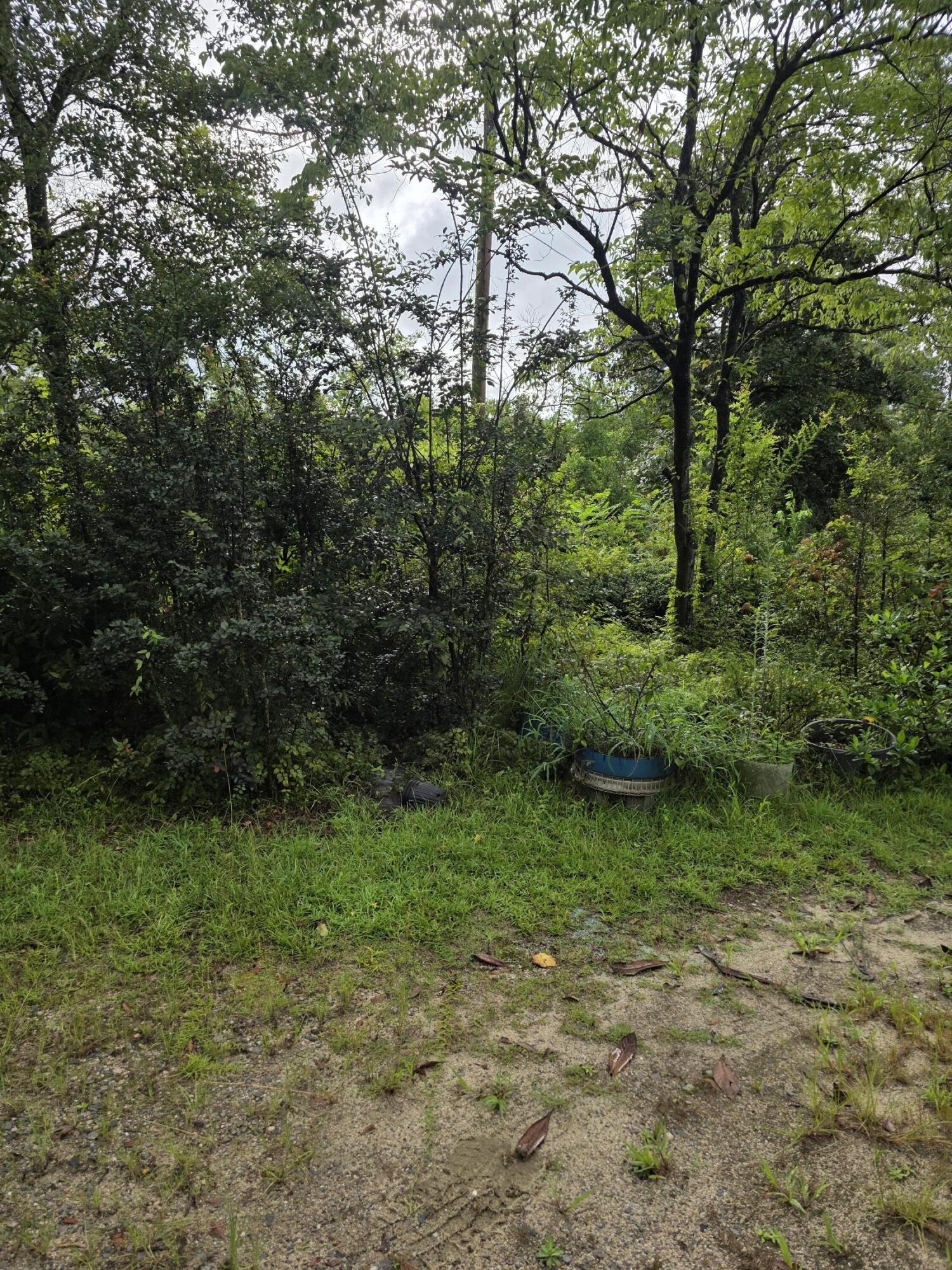 255 Settlement Road Martinez, GA 30907 - Photo 9 of 9 20250814_093756