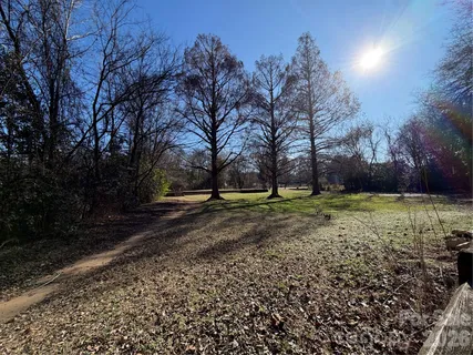 a view of yard with tree