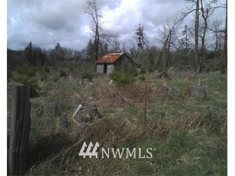 145 North Military Road Winlock, WA 98596 - Photo 1 of 1