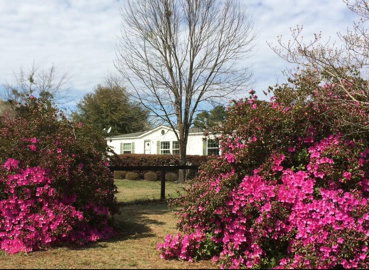 1208 Stiefel Road Aiken, SC 29805 - Photo 15 of 26