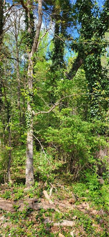 1642 Kersey Valley Road Archdale, NC 27263 - Photo 26 of 34