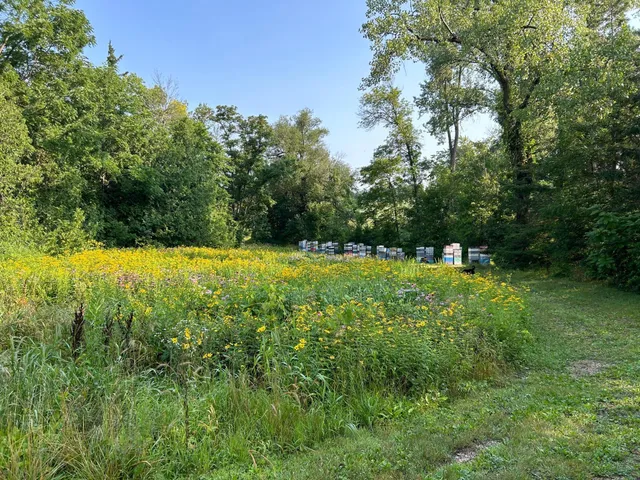 $410,000 | 22061 Camber Avenue, Jordan, MN 55352