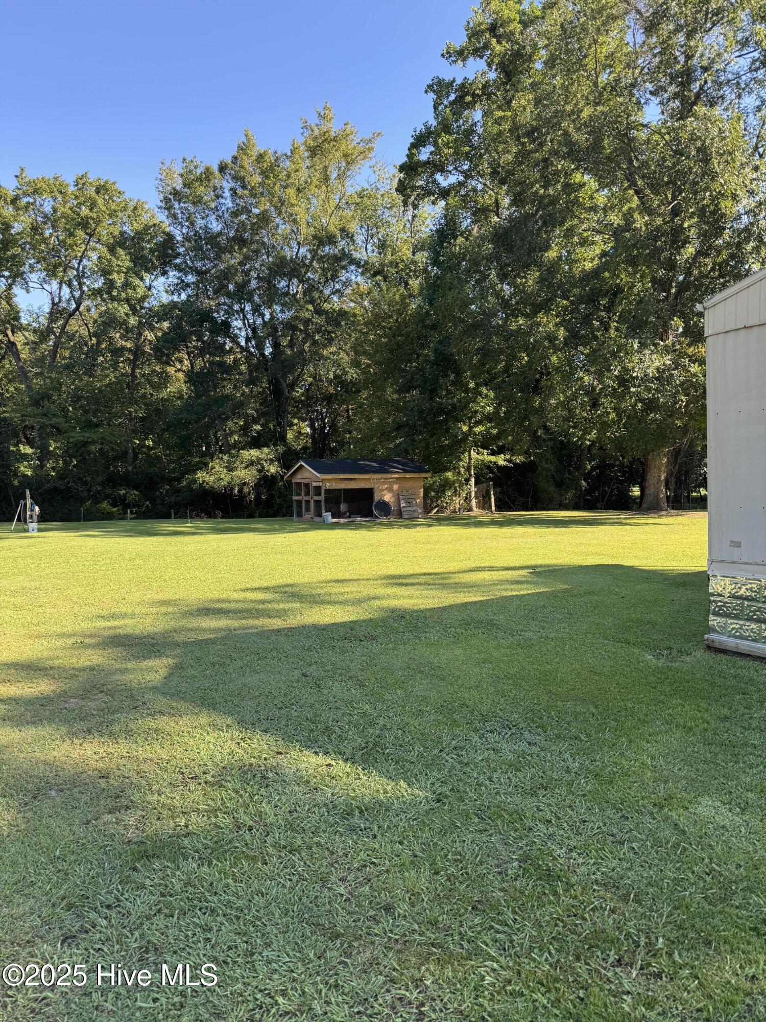 4740 Jackson Swamp Road Bath, NC 27808 - Photo 12 of 12 IMG_9052
