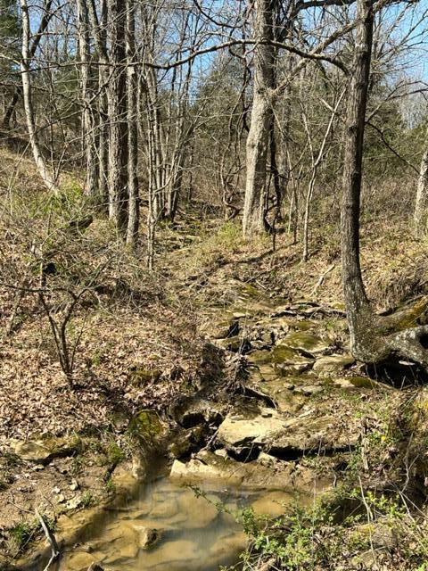 1214 Hogg Ridge Road Falmouth, KY 41040 - Photo 13 of 13 Gallery Image 13