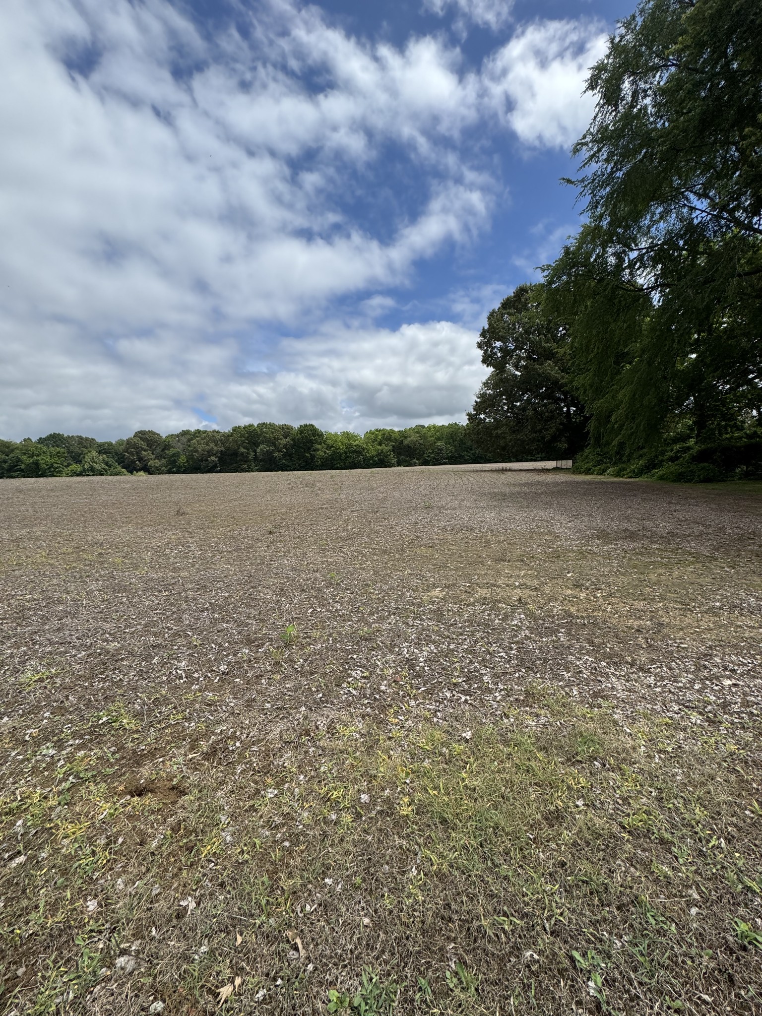 325 Harts Mill Road Atwood, TN 38220 - Photo 28 of 44